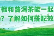 石榴和普洱茶能一起泡嗎？熟悉怎樣搭配效果！