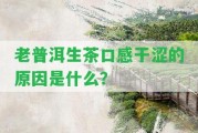 老普洱生茶口感干澀的起因是什么？