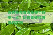 青磚茶和普洱茶哪個(gè)好喝一點(diǎn)？比較青磚和普洱的區(qū)別