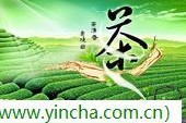 選購(gòu)陶瓷茶具的留意事項(xiàng)，大益普洱茶官網(wǎng)