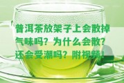 普洱茶放架子上會散掉氣味嗎？為什么會散？還會受潮嗎？附視頻！