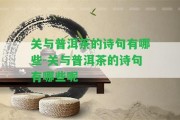 關(guān)與普洱茶的詩(shī)句有哪些-關(guān)與普洱茶的詩(shī)句有哪些呢