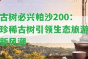 古樹必興帕沙200：珍稀古樹引領(lǐng)生態(tài)旅游新風(fēng)潮