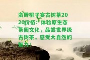 蠻磚桃子寨古樹茶2020價格：體驗原生態(tài)茶園文化，品嘗世界級古樹茶，感受大自然的魅力！