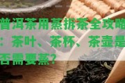 普洱茶用蒸拆茶全攻略：茶葉、茶杯、茶壺是不是需要蒸？