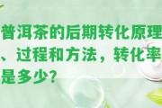 普洱茶的后期轉(zhuǎn)化原理、過程和方法，轉(zhuǎn)化率是多少？