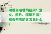 明香和暗香的區(qū)別：意義、圖片、哪里不同？暗香明雪的含義是什么？