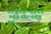 傳芳普洱茶產(chǎn)地是哪里 傳芳普洱茶產(chǎn)地是哪里的