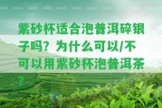 紫砂杯適合泡普洱碎銀子嗎？為什么可以/不可以用紫砂杯泡普洱茶？