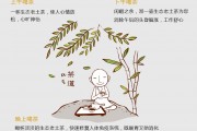 茶香卷軸——清穿戲曲，黑茶功效