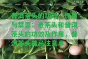 普洱茶頭的功效、作用與禁忌：老茶頭和普洱茶頭的功效及作用，普洱茶頭禁忌留意事