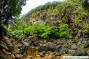 老年人冬季宜喝茶 但不宜過量