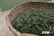 藏茶是什么茶制成的