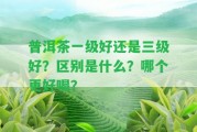 普洱茶一級(jí)好還是三級(jí)好？區(qū)別是什么？哪個(gè)更好喝？