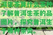 普洱生茶算什么茶種類？熟悉普洱生茶的品種和圖片，探究普洱生茶屬于哪種茶類。