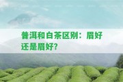 普洱和白茶區(qū)別：眉好還是眉好？