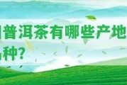 回普洱茶有哪些產(chǎn)地及品種？