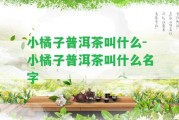 小橘子普洱茶叫什么-小橘子普洱茶叫什么名字