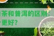 肉茶和普洱的區(qū)別：哪個更好？