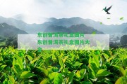 東創(chuàng)普洱茶禮盒圖片 東創(chuàng)普洱茶禮盒圖片大全