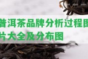 普洱茶品牌分析過程圖片大全及分布圖