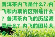 普洱茶內(nèi)飛是什么？內(nèi)飛和內(nèi)票的區(qū)別是什么？普洱茶內(nèi)飛的歷起源是什么？內(nèi)飛的圖片大全！