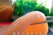 海寶菌是什么