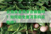 云南買普洱茶會被騙嗎？怎樣避免普洱茶購買陷阱？