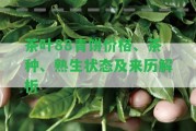 茶葉88青餅價(jià)格、茶種、熟生狀態(tài)及來(lái)歷解析