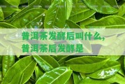 普洱茶發(fā)酵后叫什么,普洱茶后發(fā)酵是