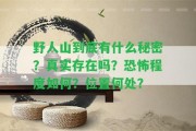 野人山到底有什么秘密？真實存在嗎？恐怖程度怎樣？位置何處？