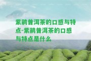 紫鵑普洱茶的口感與特點-紫鵑普洱茶的口感與特點是什么