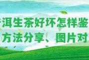 普洱生茶好壞怎樣鑒別？方法分享、圖片對(duì)比