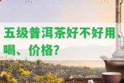 五級(jí)普洱茶好不好用、喝、價(jià)格？