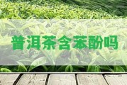 普洱茶含苯酚嗎