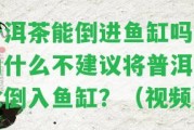 普洱茶能倒進魚缸嗎？為什么不建議將普洱茶水倒入魚缸？（視頻）