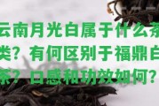 云南月光白屬于什么茶類？有何區(qū)別于福鼎白茶？口感和功效怎樣？