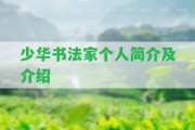 少華書法家個(gè)人簡介及介紹