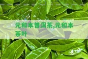 元和本普洱茶,元和本茶葉