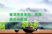 普洱茶生茶歷：淵源、簡介與起源