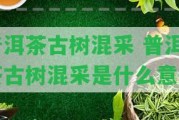 普洱茶古樹(shù)混采 普洱茶古樹(shù)混采是什么意思