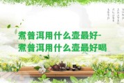 煮普洱用什么壺最好-煮普洱用什么壺最好喝