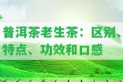 普洱茶老生茶：區(qū)別、特點(diǎn)、功效和口感