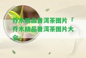 喬木精品普洱茶圖片「喬木精品普洱茶圖片大全」