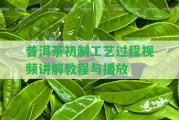 普洱茶初制工藝過(guò)程視頻講解教程與播放