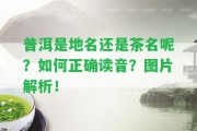 普洱是地名還是茶名呢？怎樣正確讀音？圖片解析！