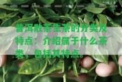 普洱散茶生茶的分類及特點(diǎn)：介紹屬于什么茶類，包含其特點(diǎn)。