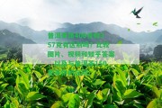 普洱茶餅400克和357克有區(qū)別嗎？比較圖片、視頻和知乎答案，以及與普洱茶150克茶餅的區(qū)別。