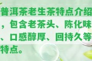 普洱茶老生茶特點介紹，包含老茶頭、陳化味、口感醇厚、回持久等特點。