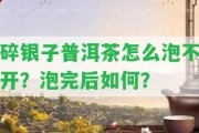 碎銀子普洱茶怎么泡不開？泡完后怎樣？